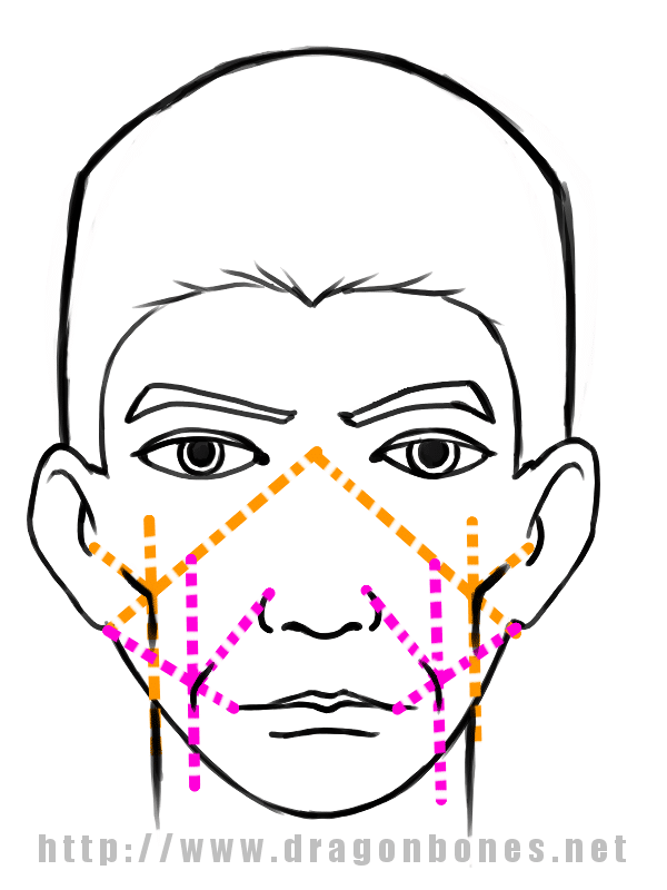 How to Draw a Basic Face – The Infrastructure – Part Three – d r a g o