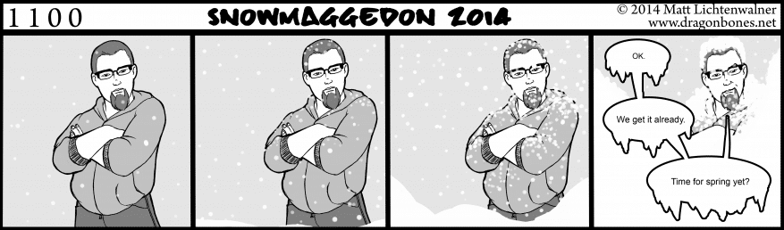 1100 - Snowmaggedon 2014