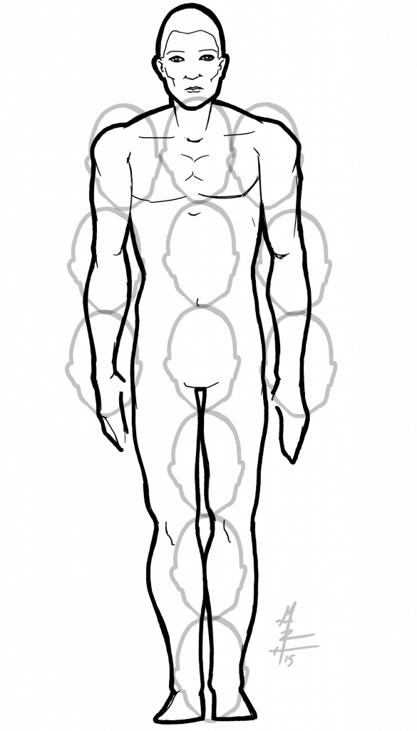 figure proportions